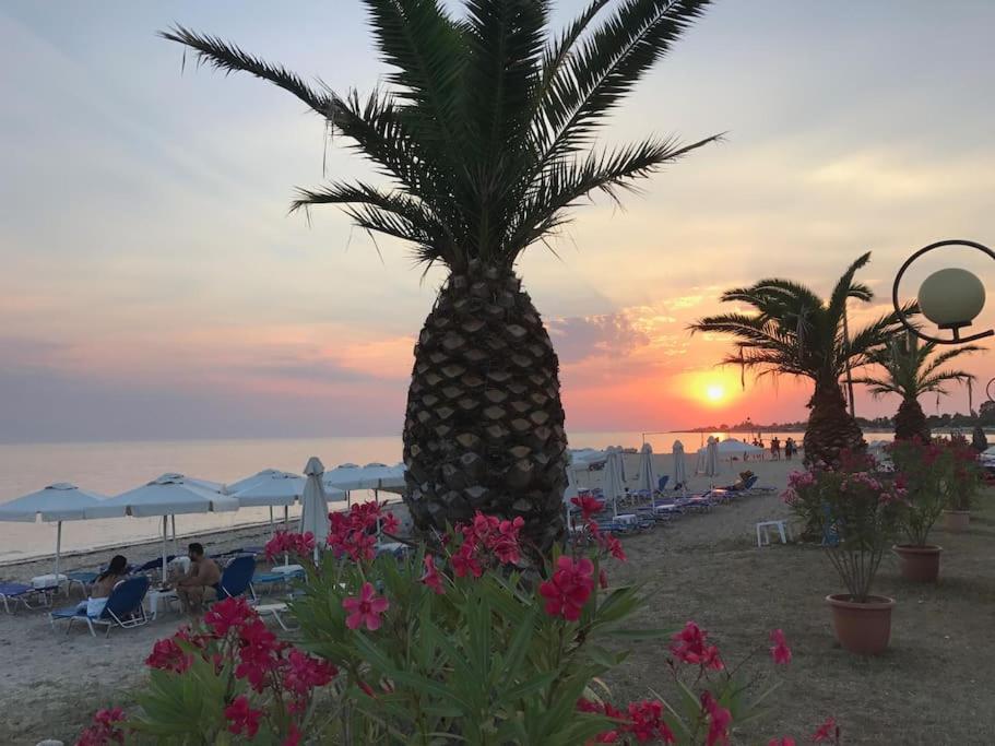Aigeas Camping Nea Kallikrateia Bagian luar foto